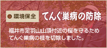 環境保全　てんぐ巣病の防除　福井市足羽山山頂付近の桜を守るためてんぐ巣病の枝を切除しました。